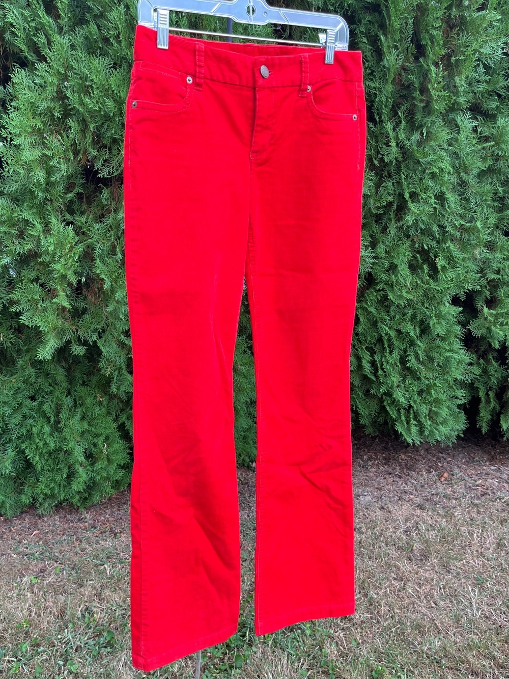J. Crew Vibrant Flame 0R Favorite Fit Cords! Gorgeous! 32 inseam.